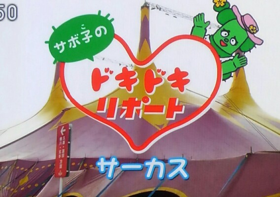 再放送は2月23日 金 みいつけた サボ子のドキドキリポート サーカス編も神回すぎた 赤チャンネルブログ