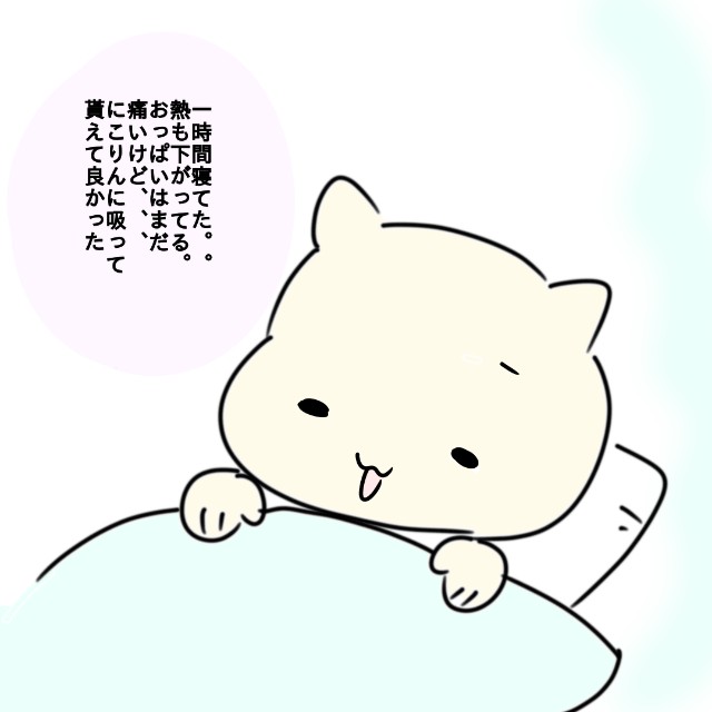 f:id:akachantan:20200604143917j:plain