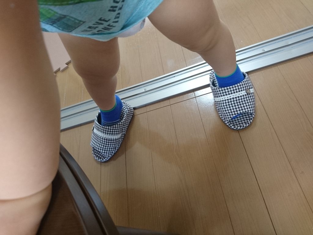 f:id:akachantosimple:20180801035826j:plain