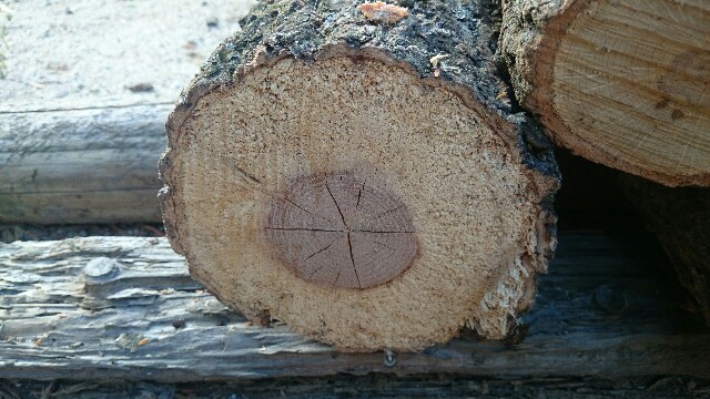 f:id:akagestoves:20171216190610j:image