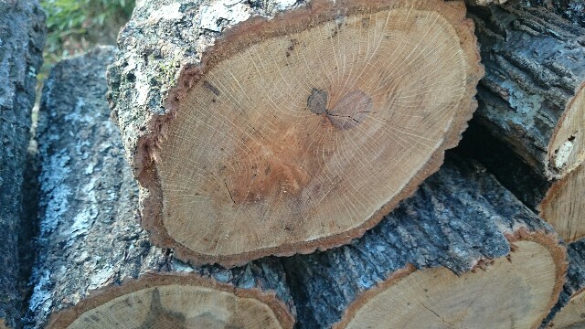 f:id:akagestoves:20171216190628j:image