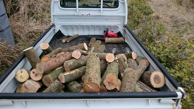 薪ストーブ 薪割済100% 榎 エノキ 薪 1棚 ①