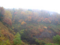 20101108065508