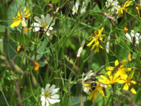 f:id:akagi39:20101119235126j:image f:id:akagi39:20101119235126j:image