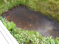 f:id:akagi39:20101119235127j:image f:id:akagi39:20101119235127j:image
