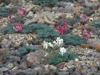 f:id:akagi39:20101119235208j:image f:id:akagi39:20101119235208j:image