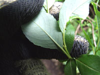f:id:akagi39:20101119235310j:image f:id:akagi39:20101119235310j:image