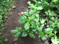 f:id:akagi39:20101119235311j:image f:id:akagi39:20101119235311j:image