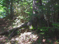 f:id:akagi39:20101119235421j:image f:id:akagi39:20101119235421j:image