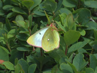 f:id:akagi39:20101119235422j:image f:id:akagi39:20101119235422j:image