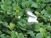 f:id:akagi39:20101119235423j:image f:id:akagi39:20101119235423j:image