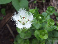 f:id:akagi39:20101123063617j:image