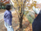 20101124070331