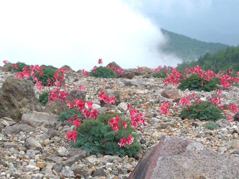 f:id:akagi39:20101225004657j:image