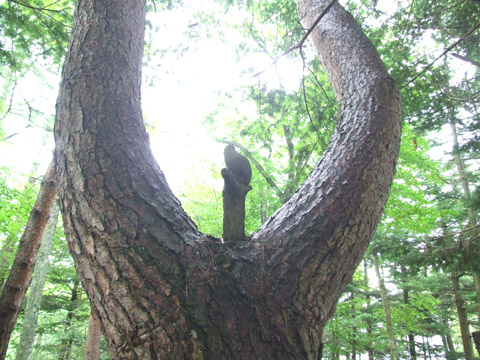 f:id:akagi39:20101225182903j:image f:id:akagi39:20101225182903j:image