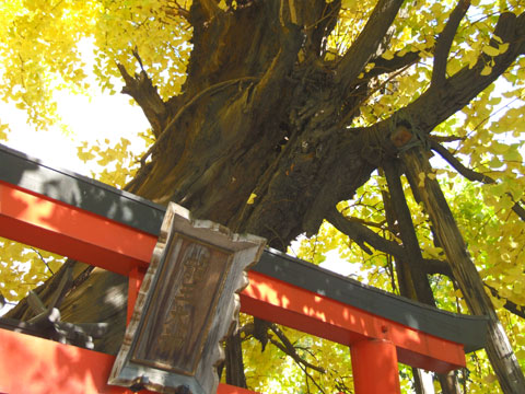 太融寺の巳さん