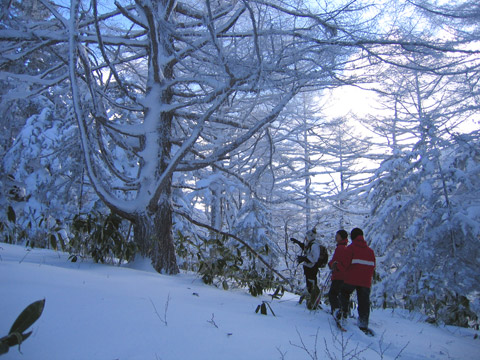 f:id:akagi39:20101225183629j:image f:id:akagi39:20101225183629j:image