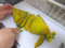 かぼちゃを切る