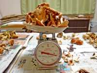 f:id:akagi39:20110914125026j:image