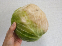 f:id:akagi39:20120107181048j:image