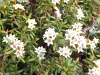 f:id:akagi39:20120525085533j:image