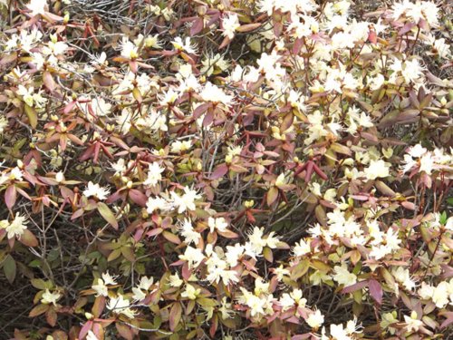 f:id:akagi39:20120525090512j:image