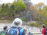 f:id:akagi39:20130509020102j:image