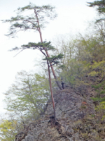 f:id:akagi39:20130509021859j:image