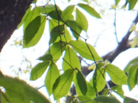 f:id:akagi39:20130509053804j:image