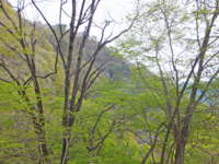 f:id:akagi39:20130509161552j:image