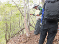 f:id:akagi39:20130509161713j:image
