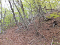 f:id:akagi39:20130509162745j:image