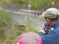 f:id:akagi39:20130509165955j:image