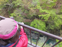 f:id:akagi39:20130509171812j:image