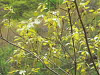 f:id:akagi39:20130509172208j:image