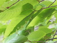 f:id:akagi39:20130509172728j:image