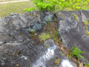 f:id:akagi39:20140604214533j:image