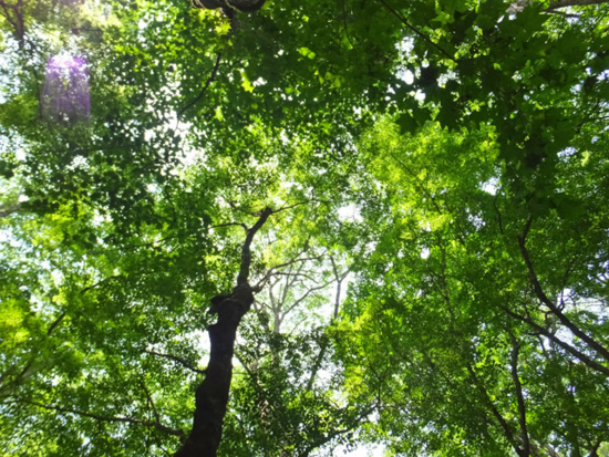 f:id:akagi39:20140808214419j:image