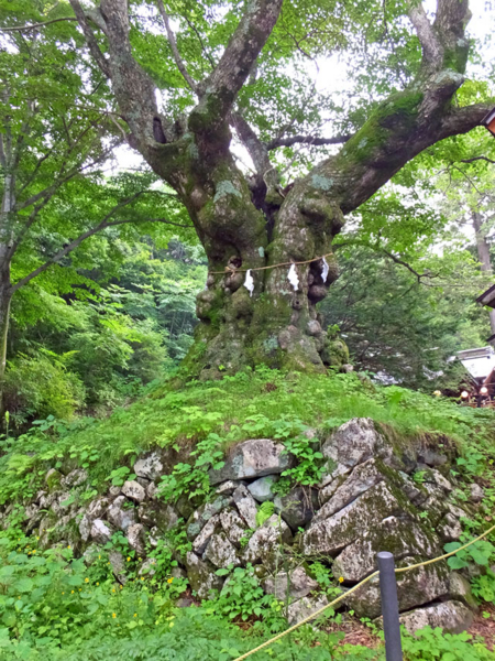f:id:akagi39:20140808220804j:image