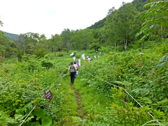 棧敷山でアサギマダラ