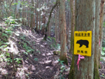 f:id:akagi39:20140910204826j:image
