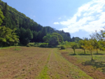 f:id:akagi39:20140910204830j:image