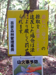 f:id:akagi39:20140910222433j:image