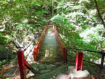 鹿飛橋
