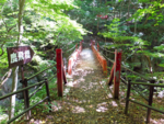 鹿飛橋