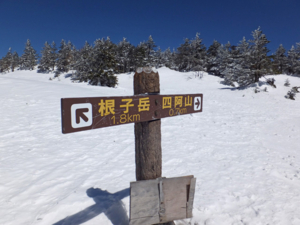 f:id:akagi39:20150328063104j:image:w150