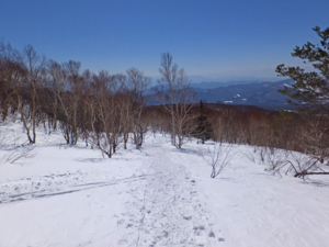 f:id:akagi39:20150328064605j:image