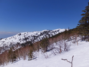 f:id:akagi39:20150328064608j:image