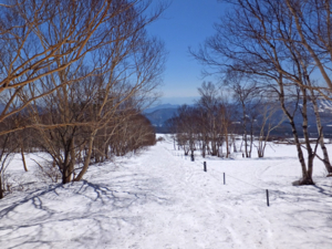 f:id:akagi39:20150328064749j:image