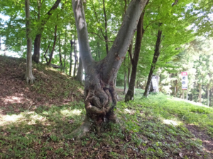 f:id:akagi39:20150904075617j:image